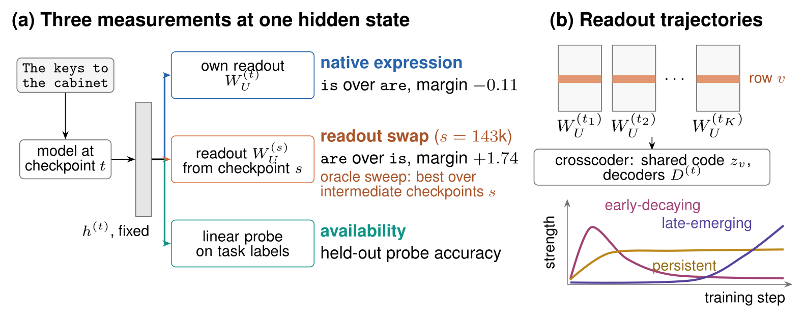 Overview. Panel a: one fixed hidden state is measured three ways: under the model's own readout, under a readout swapped in from another checkpoint, and with a linear probe. Panel b: a crosscoder fits one sparse dictionary to the readout rows across training checkpoints, giving features that decay early, persist, or emerge late.